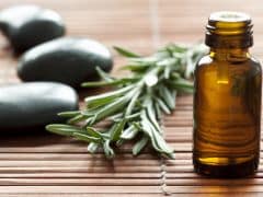 Try Rosemary Oil To Achieve Its Amazing Health Benefits