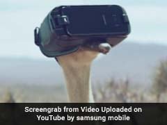 Watch: An Ostrich Trying To Fly In New Viral Ad Will Warm Your Heart