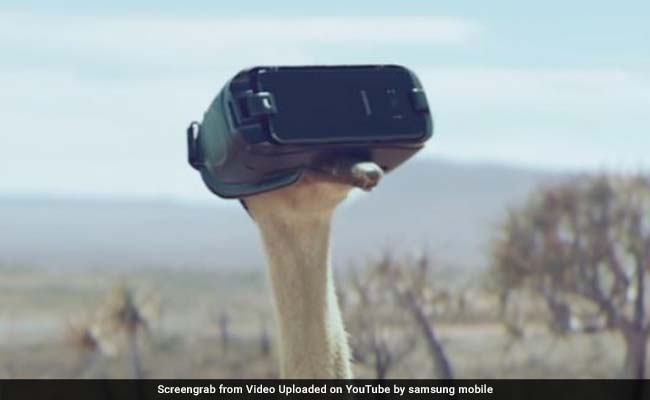 Watch: An Ostrich Trying To Fly In New Viral Ad Will Warm Your Heart