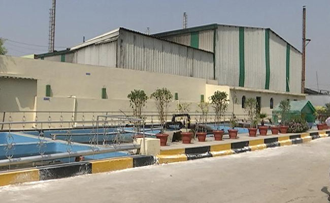 UP Exporters Worried As Crackdown Begins On Illegal Slaughterhouses
