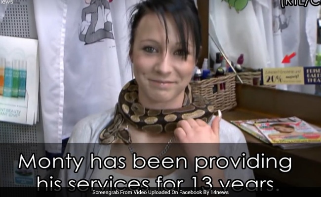 A Relaxing Massage... From A Snake. Are You Brave Enough For This Salon?