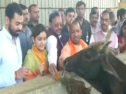 मुलायम की छोटी बहू अपर्णा की योगी आदित्यनाथ से मुलाकात, अखिलेश यादव के लिए चुनौती! मुलायम की छोटी बहू अपर्णा की योगी आदित्यनाथ से मुलाकात, अखिलेश यादव के लिए चुनौती!