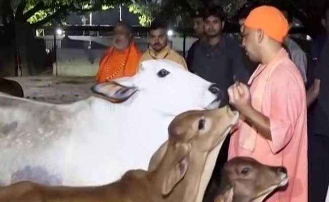 UP Chief Minister Yogi Adityanath Reminds People Of 'Certain Responsibilities' In Gorakhpur