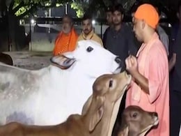 सिर्फ गोमाता की जय बोलने से नहीं होगा गाय का संरक्षण : योगी आदित्यनाथ सिर्फ गोमाता की जय बोलने से नहीं होगा गाय का संरक्षण : योगी आदित्यनाथ
