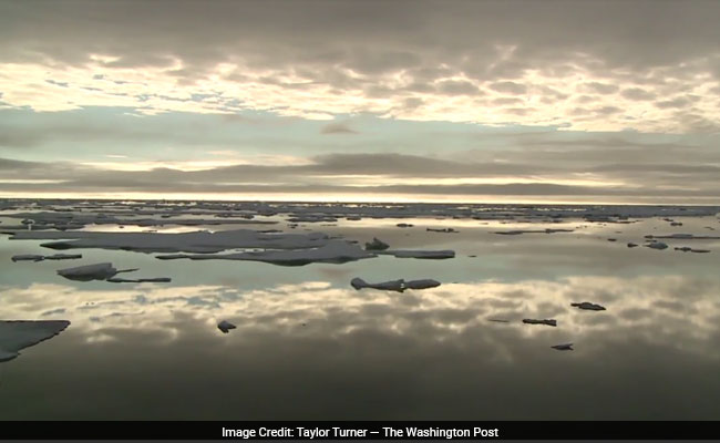 Humans Have Filled The Pristine Arctic Ocean With 300 Billion Pieces Of Floating Plastic