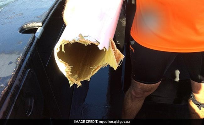 Shark Took Huge Bite Out Of His Kayak. Passing Planes Helped Find Him