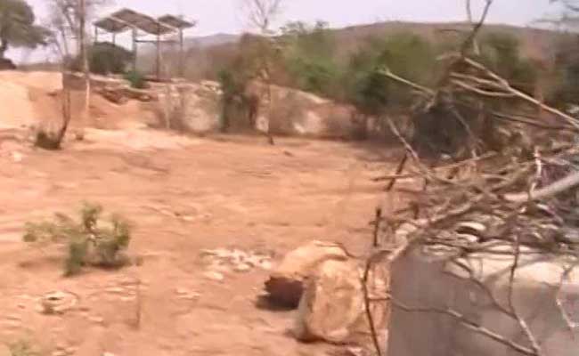 Drought In Tiger Reserve: How Bandipur In Karnataka Is Coping