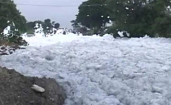 CCTVs On Guard At Bengaluru's Frothing, Flaming Bellandur Lake