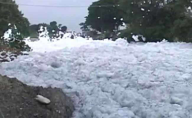 Bengaluru's Bellandur Lake, Which Burst Into Flames, Finally Being Cleaned