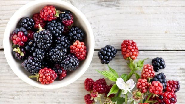 Wild Berries and benefits they bring