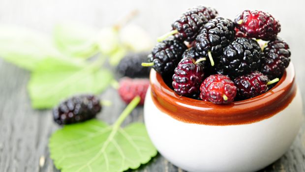 This Compound In Berries Can Delay Lung Function Decline In The Elderly
