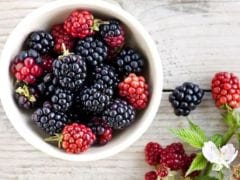 Polyphenols: These Micronutrients Can Help You With Weight Loss, Prevent Diabetes- Know The Benefits And Food Sources