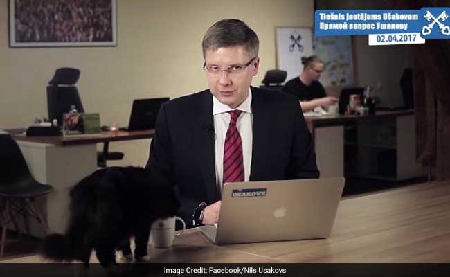 In TV 'Cat'astrophe, Feline Jumps On Table During Live Interview