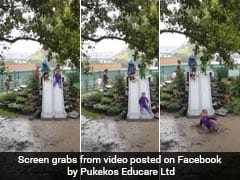 25 Million Views For Delightful Video Of Children Playing In The Rain