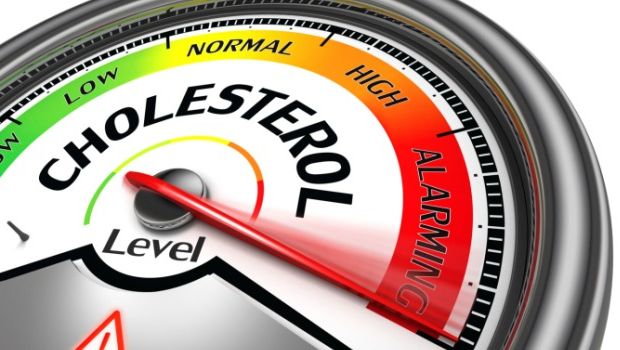 Cholesterol meter