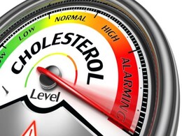 Is Your Cholesterol Level High? Ty These Top 9 Foods To Lower It Is Your Cholesterol Level High? Ty These Top 9 Foods To Lower It