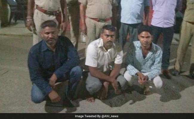 cow vigilante arrest