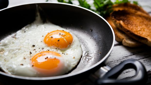 Egg Hal fry Diet