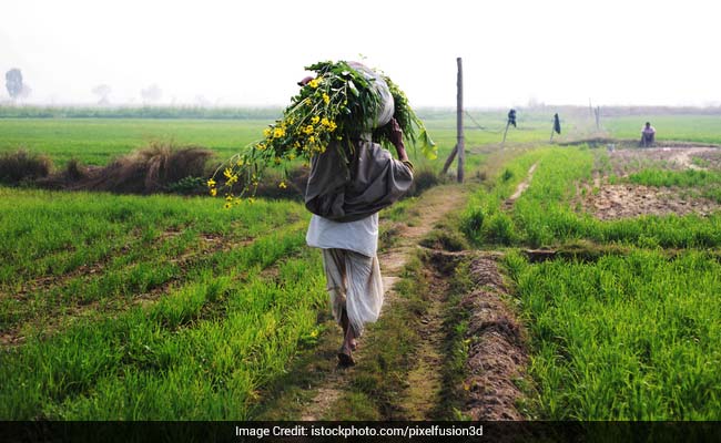 Uttar Pradesh Government To Launch Agriculture Loan Waiver Scheme Today