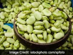 Haryana Agricultural University Develops High Yielding Variety Of Fababean