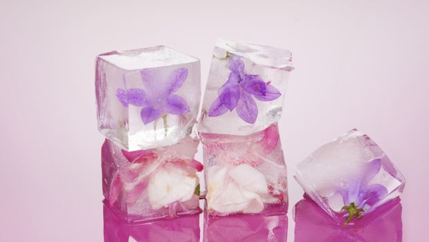 floral ice cubes