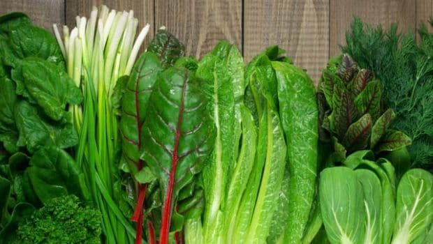 8 Lesser Known Greens We Should All Be Eating - NDTV Food