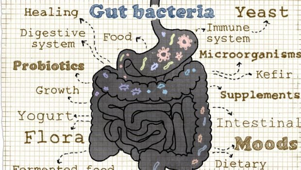 Listen to Your Gut: A Four Step Formula to Cleanse Your Digestion