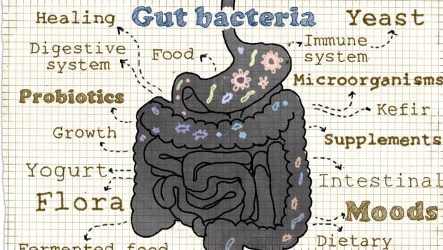 Patient experience SIBO and hair loss  FixBIOME