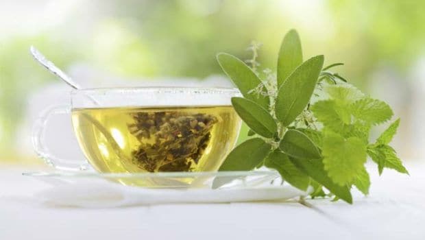 Benefits of Sage: चमकात्कारिक फायदों से भरी है सेज, हाई शुगर और कोलेस्ट्रॉल रोगियों के लिए कमाल, जानें इसके 8 स्वास्थ्य लाभ