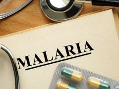 Dried Asian Leaf Tablets Cured Patients of Drug-Resistant Malaria