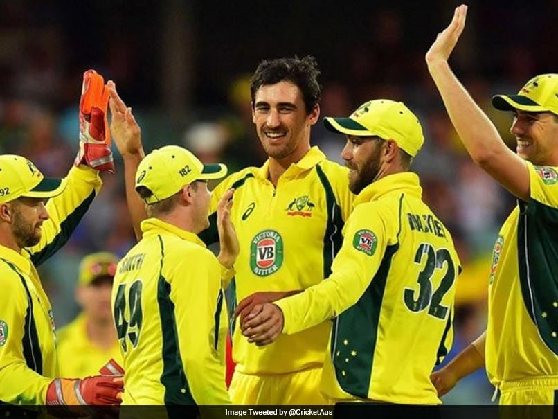 McCullum-Clarke OD Cup | Match 5: AlfaStars vs. Blue Knight Hawks | 07-05-17 | 8 PM IST - Page 9 Mitchell-starc-james-pattinson-twitter_806x605_81492675550