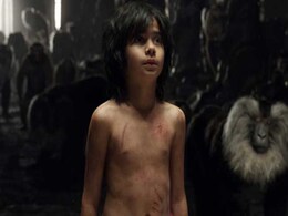 ये है बिहार का 'मोगली', कोयल की एक आवाज पर 50 फीट ऊंचे पेड़ पर चढ़ा! ये है बिहार का 'मोगली', कोयल की एक आवाज पर 50 फीट ऊंचे पेड़ पर चढ़ा!