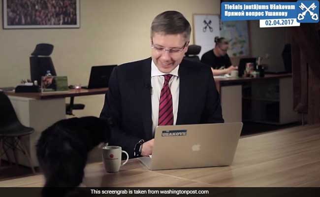 The New BBC Dad Is A Latvian Mayor Whose Cat Interrupted His Live Stream