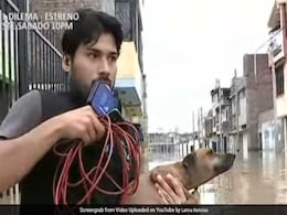 Watch: TV Reporter Interrupts Live Broadcast To Rescue Dog From Floods In Peru Watch: TV Reporter Interrupts Live Broadcast To Rescue Dog From Floods In Peru