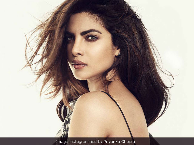 Priyanka Chopra Says Indian Cinema 'Shouldn't Be Divided'