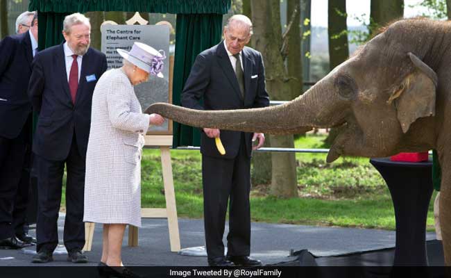 Queen Elizabeth Meets Baby Elephant Named After Her