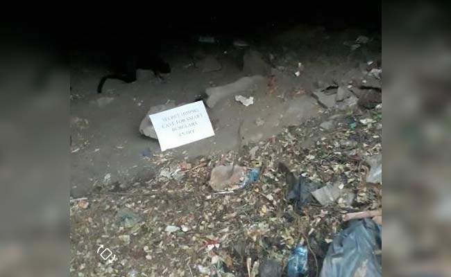 robbers living in cave delhi