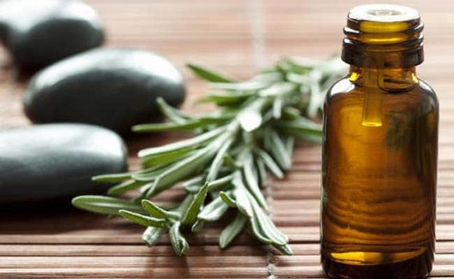 Rosemary For Hair Fall: Can This Herb Really Help Promote Hair Growth? Expert Explains