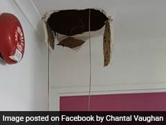 Huge Snake Falls Through Ceiling, Spends 2 Days Undetected