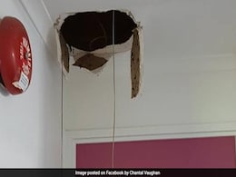 जब छप्पर फाड़ कर आया सांप, देखकर होश न उड़ जाएं तो कहना... जब छप्पर फाड़ कर आया सांप, देखकर होश न उड़ जाएं तो कहना...