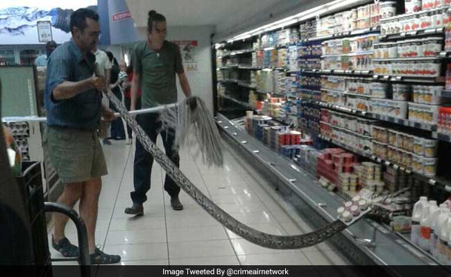 Woman Reaches Into Supermarket Fridge, Finds 12-Foot Python