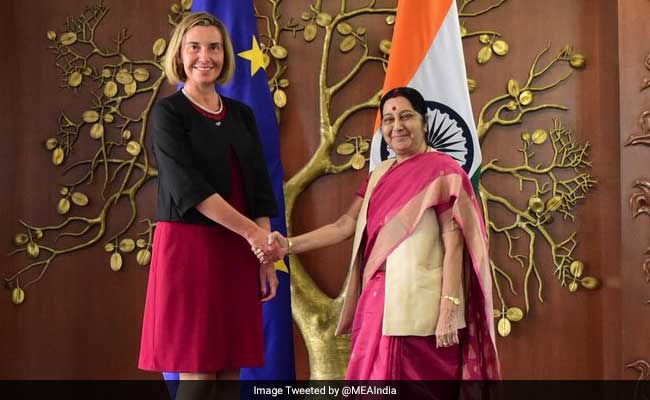 Sushma Swaraj Meets European Union High Representative