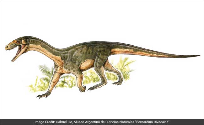 The Oldest Known Relative Of Dinosaurs Was A Total Freak, Experts Say