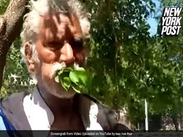 एक आदमी ऐसा भी जो 25 सालों से पत्तियां खाकर कर रहा गुजर-बसर... एक आदमी ऐसा भी जो 25 सालों से पत्तियां खाकर कर रहा गुजर-बसर...