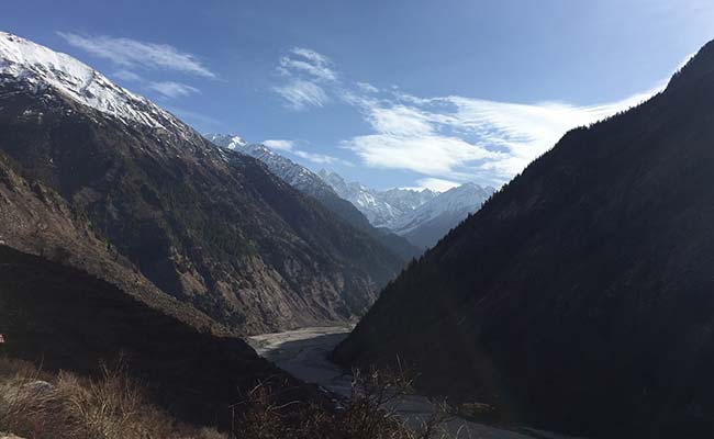 Thousands Of Trees Could Be Axed For Road To Gangotri