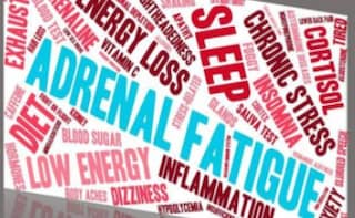 Adrenal Fatigue Diet: The Nutrition Required to Recover