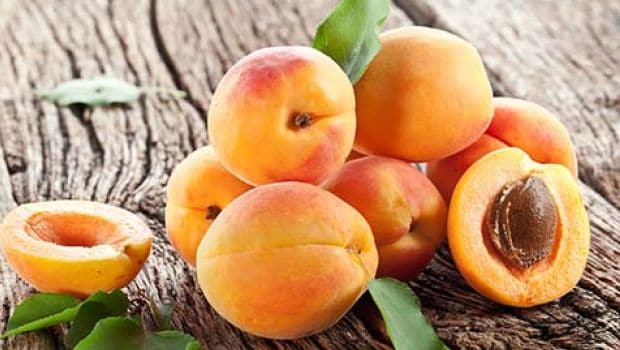 apricot seeds