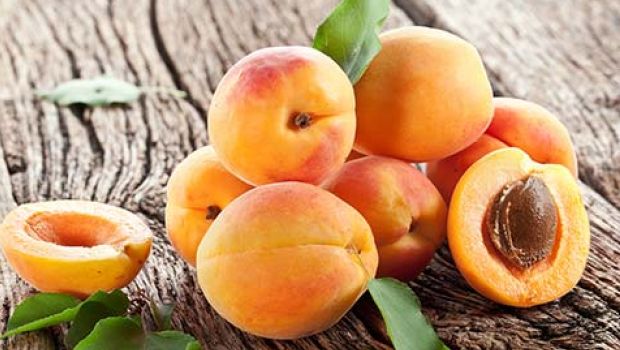 Will Eating Apricot Seeds Kill You? Know the Truth!