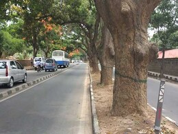 बेंगलुरु : 122 पेड़ों को कटने से बचानेे के लिए लोगों ने किए 22 हज़ार ईमेल... बेंगलुरु : 122 पेड़ों को कटने से बचानेे के लिए लोगों ने किए 22 हज़ार ईमेल...