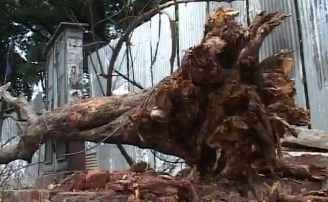 A Week's Rainfall And Bengaluru Is Already Drowning